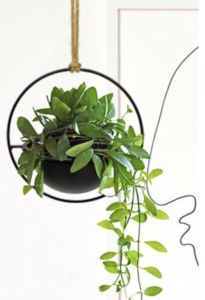 Danson Décor Hanging Planter with Plastic Pot