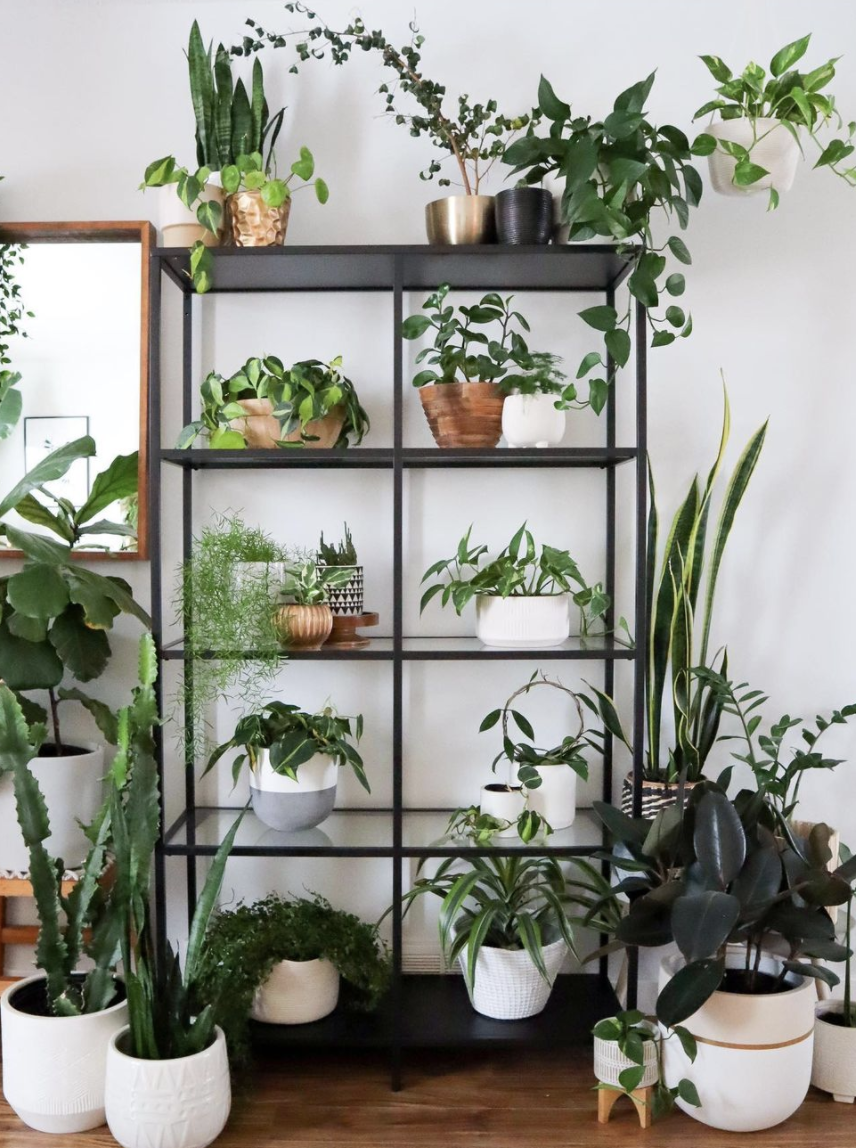 FAQ – Where do you shop for planters? | ourbarnesyard.com