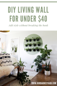 DIY living wall under $40
